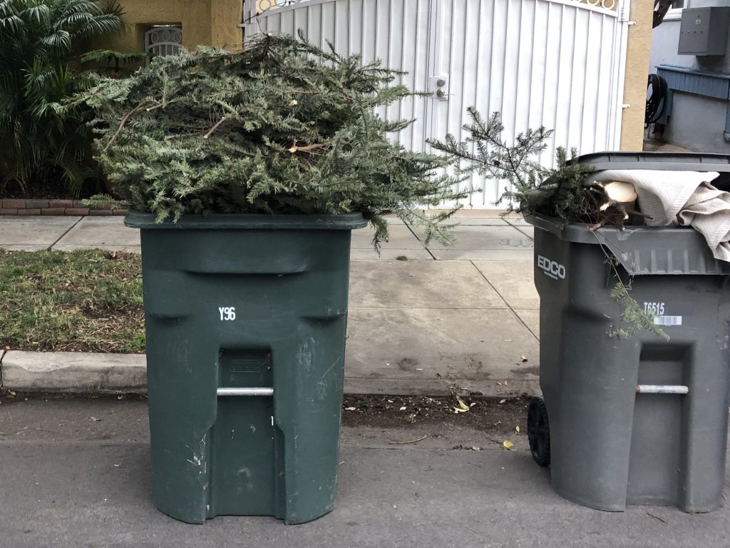 Christmas tree recycling options in Coronado