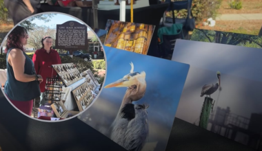 Long Beach Art and Artisans Market showcases creativity, local artists