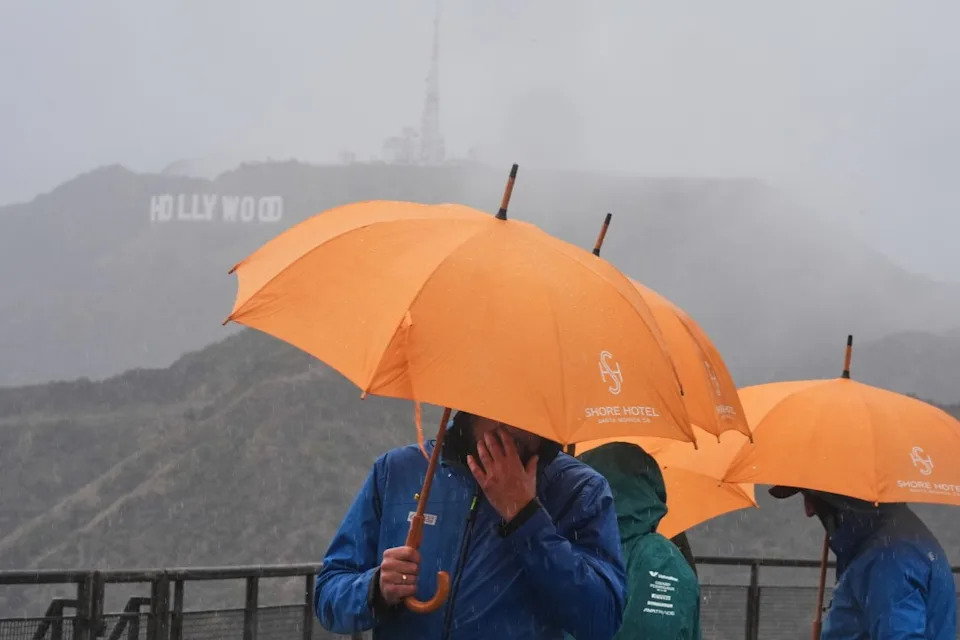 Tourists from Poland carry umbrellas in front of the Hollywood sign as rain falls while visiting the Griffith Observatory Tuesday, Oct. 14, 2025, in Los Angeles. (AP Photo/Damian Dovarganes)