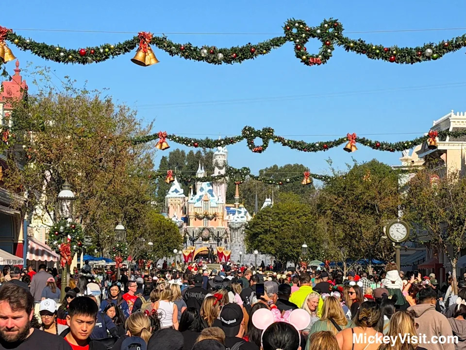 Disneyland crowds