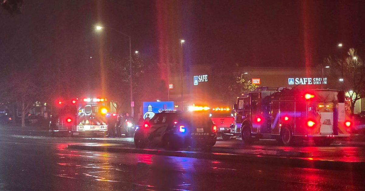 Elk Grove police search for suspect in deadly hit-and-run on Bruceville Road