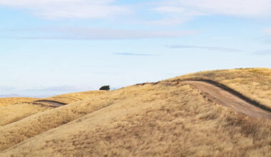 Yahoo lifestyle home