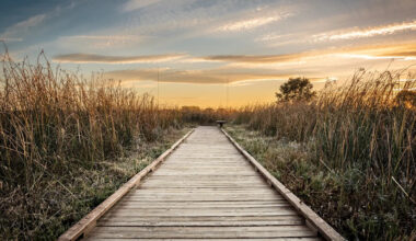 Yahoo lifestyle home