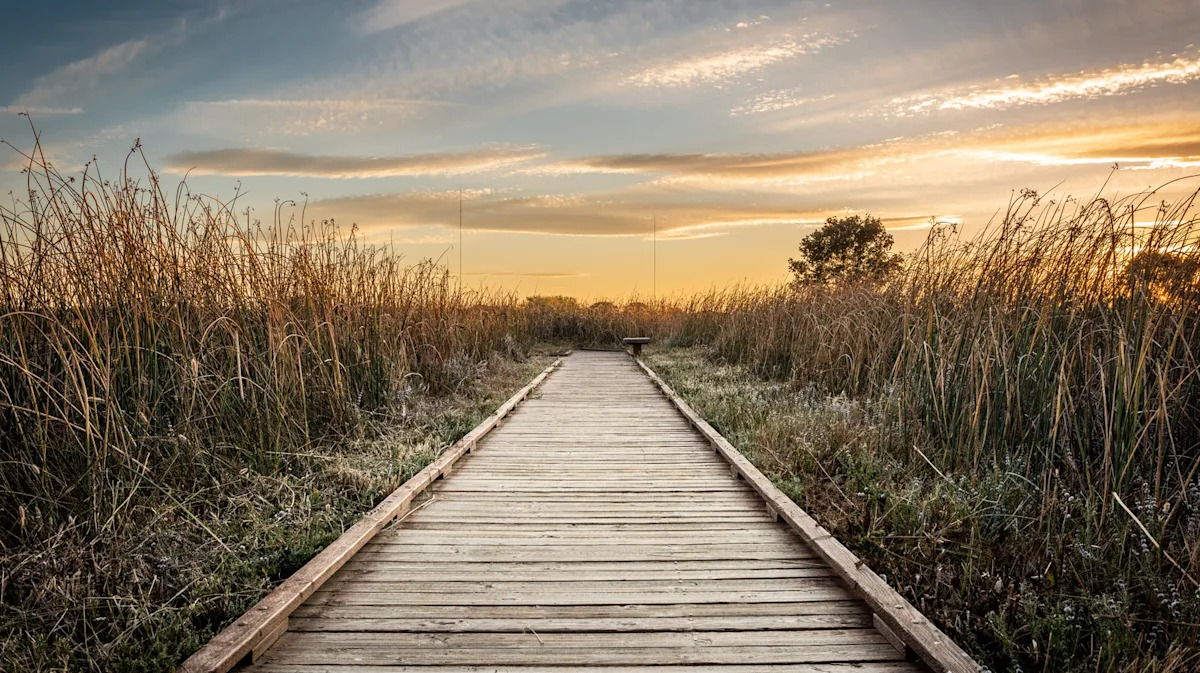 Yahoo lifestyle home