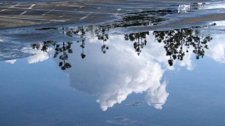 A cloud reflection after rain in Balboa Park. Photo by Chris Stone