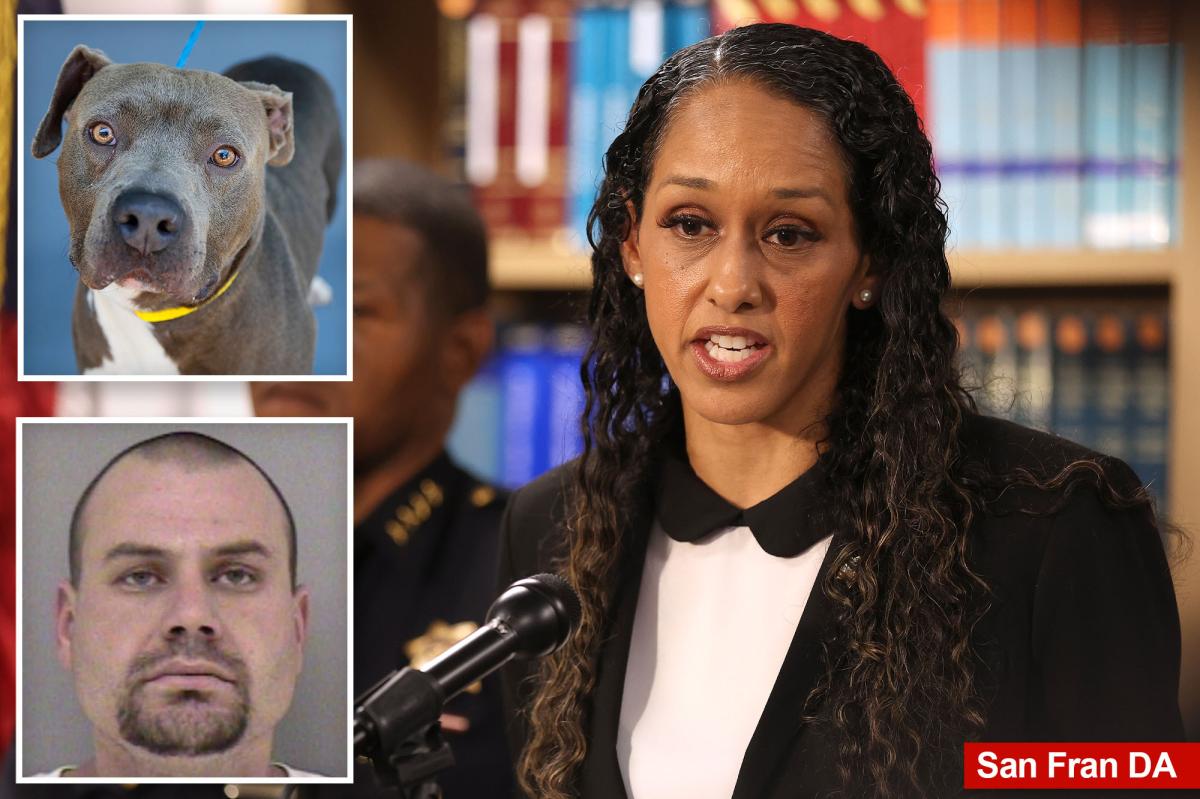 San Francisco man accused of strangling his dog to death