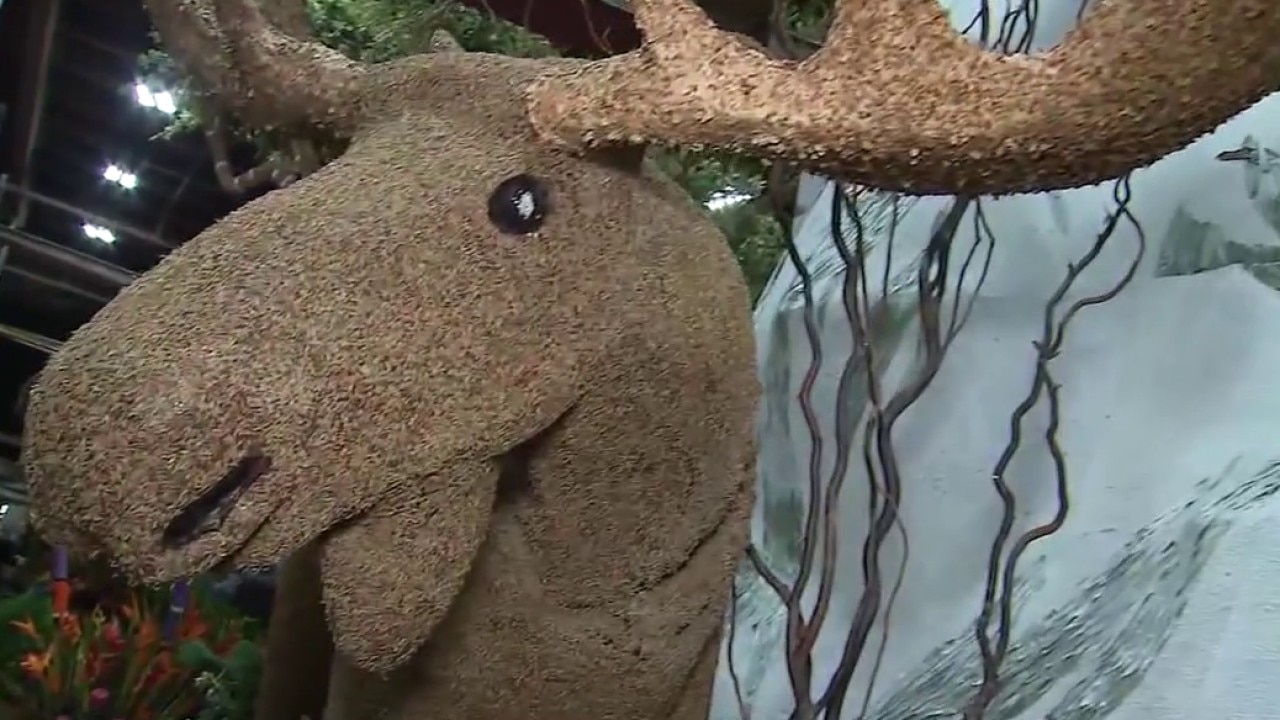 Rose Parade floats near perfection