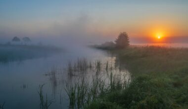 Image of the rising sun in a tableau that includes farm fields, fog, and a lake