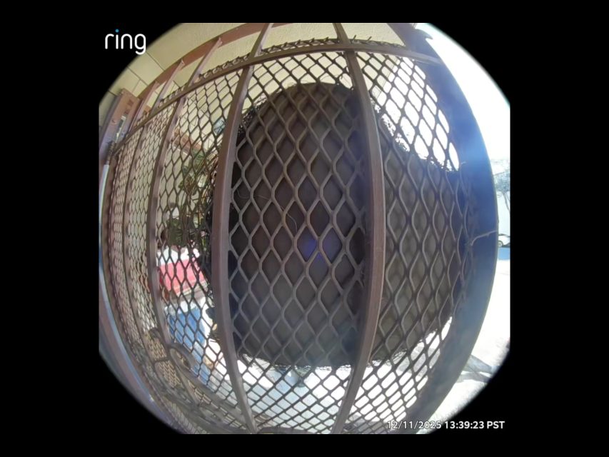 A fisheye view from a Ring doorbell camera shows a metal security door with a mesh grid and a person in red standing outside.