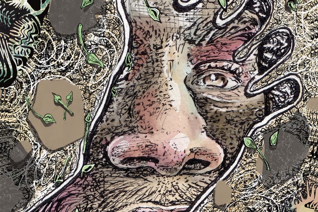 white sands national park, footprints