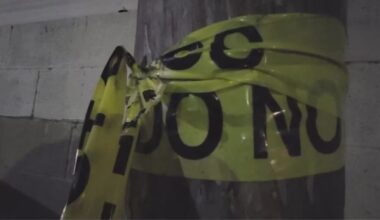 OC man accused of killing pregnant dog in deliberate act of cruelty