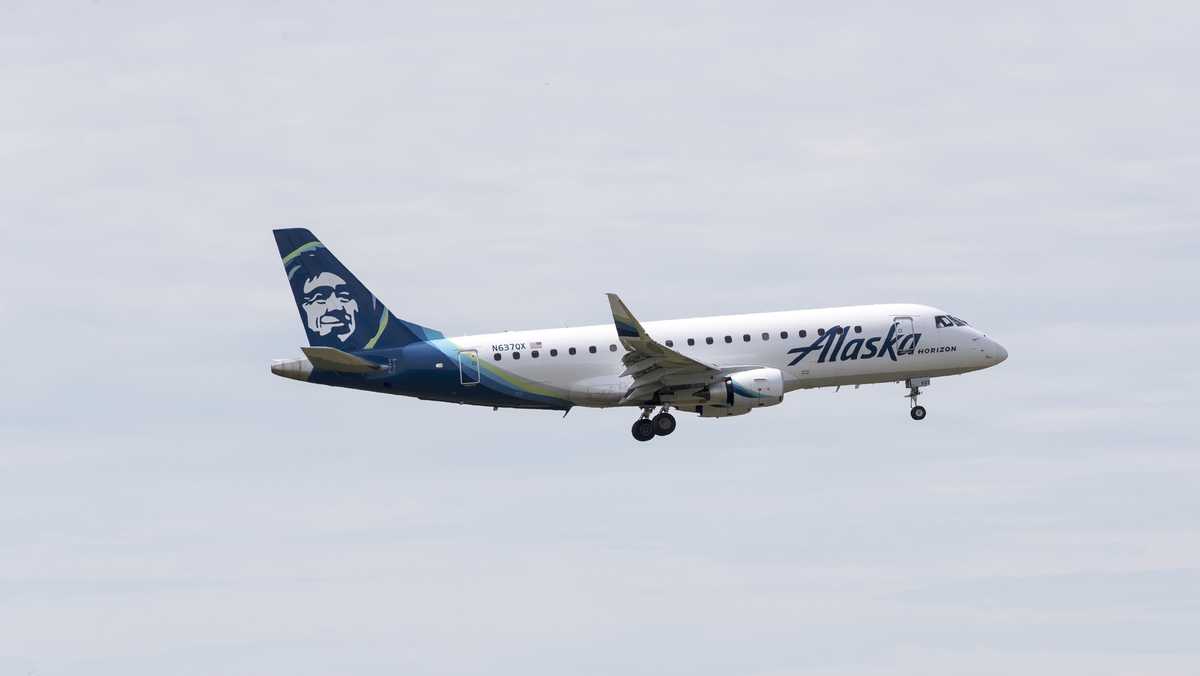 Horizon Air flight has bird strike after takeoff from SMF