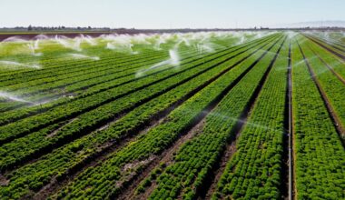 Prominent California farming mogul's wife found dead in Arizona amid divorce battle