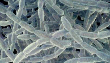 Oakland County Sheriff's Office building closes after initial tests detect Legionella bacteria