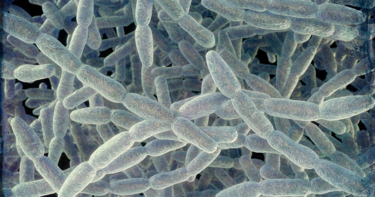 Oakland County Sheriff's Office building closes after initial tests detect Legionella bacteria