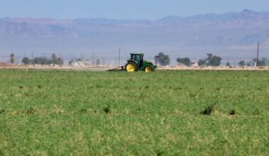 Prominent California farmer arrested in shooting death of estranged wife