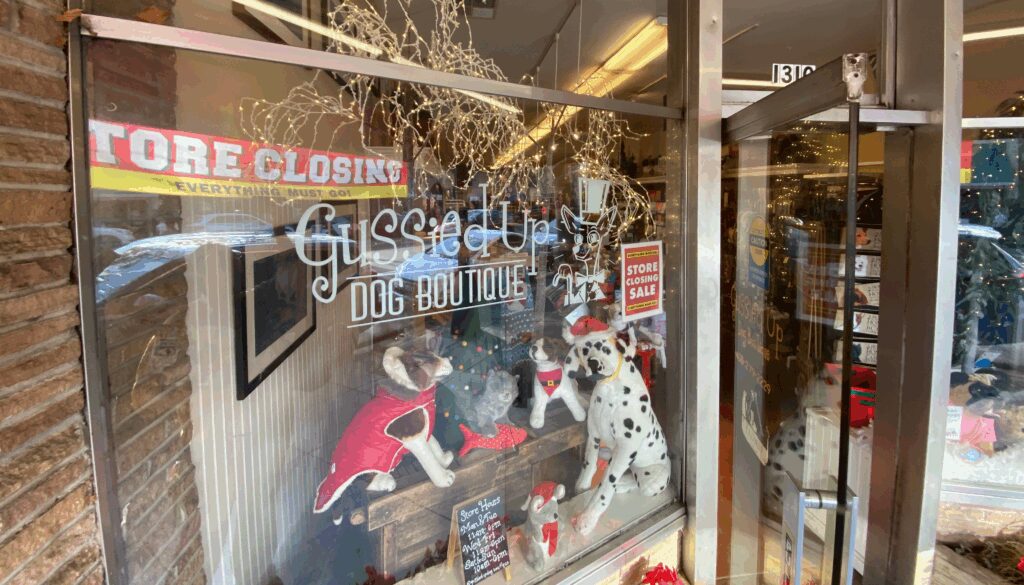 Photo of the exterior of Gussied Up Dog Boutique, with the store's name visible on the window, as well as multiple stuffed dogs wearing outfits and holding toys. A sign reading "Store Closing Sale" is visible in the window, as well as the reflection of a "store closing, everything must go" sign.