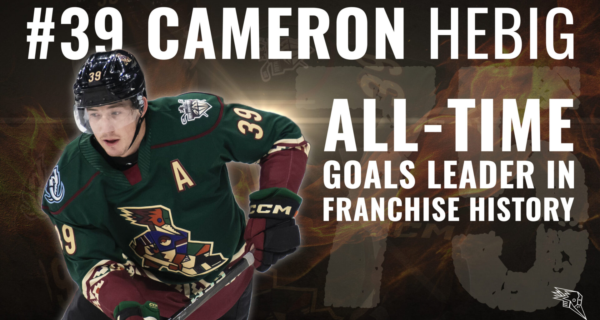 Tucson Roadrunners Hockey