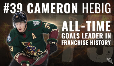 Tucson Roadrunners Hockey