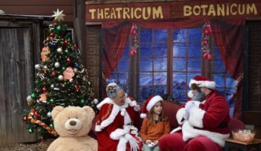 Venture into the whimsical woods for a Topanga-esque ‘Holiday Family Faire’ – NBC Los Angeles