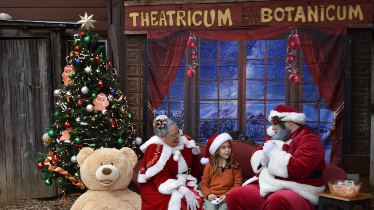 Venture into the whimsical woods for a Topanga-esque ‘Holiday Family Faire’ – NBC Los Angeles