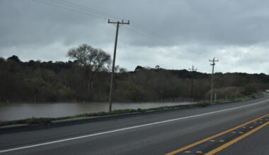 Fatal Semitruck Collision Claims Life Near Rio Vista Bridge in Sacramento County - Sacramento Injury Attorneys Blog