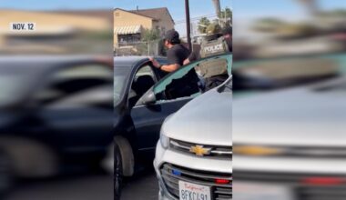 New data shows most San Diego ICE arrests have no criminal records – NBC 7 San Diego