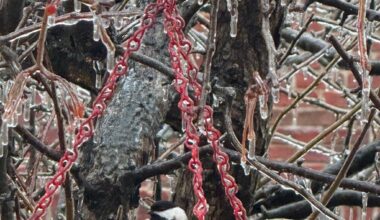 Milford Senior Center closed, freezing rain cuts power to thousands – The Oakland Press