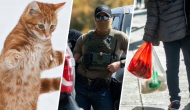 New California laws taking effect in 2026 – NBC Los Angeles