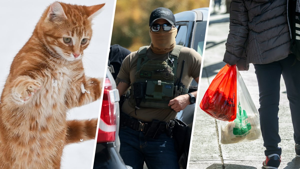 New California laws taking effect in 2026 – NBC Los Angeles