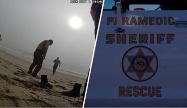 2 paragliders rescued from Malibu after crashing into ocean – NBC Los Angeles