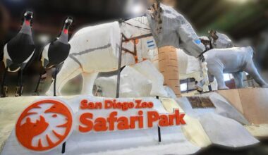 San Diego Zoo Wildlife Alliance Eyes Third Straight Rose Parade Sweepstakes Trophy – Pasadena Now