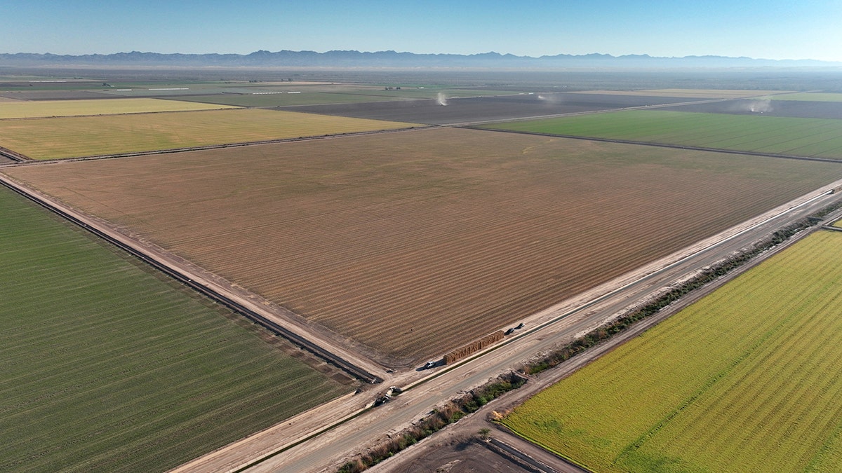 Fields in Imperial Valley