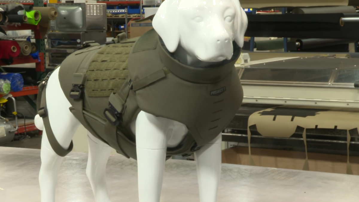 LA County K-9s get new bullet-proof vest with better protection – NBC Los Angeles