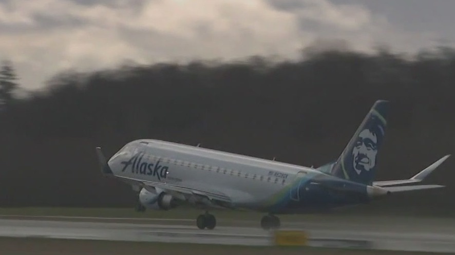 Pilot on mushrooms tried to disrupt flight