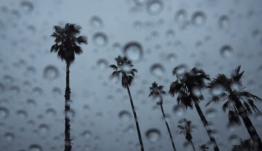 When will it rain in LA? See the storm timeline – NBC Los Angeles