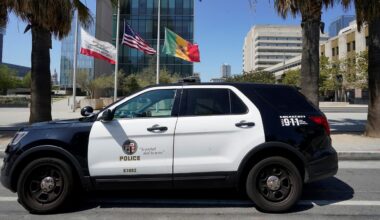 (AP Photo/Damian Dovarganes)