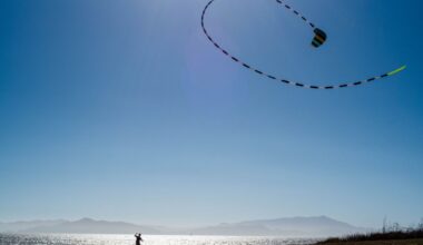 Best free or cheap Berkeley activities that happen every week