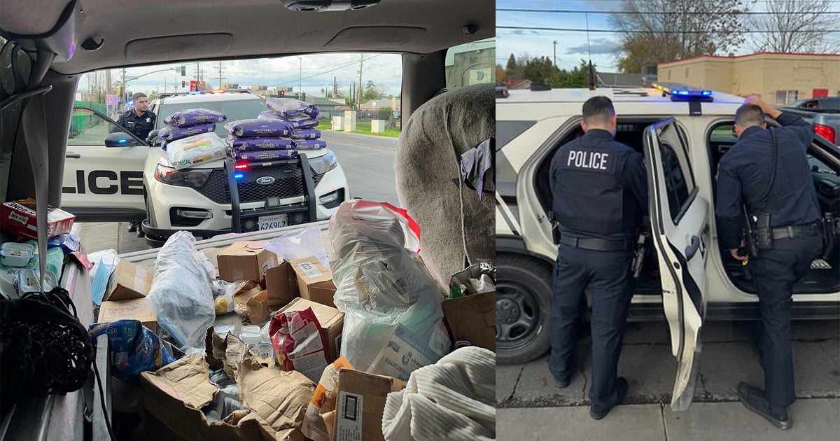 Lathrop police make arrest in $1,200 pet food theft case