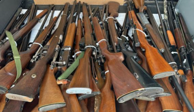 Law enforcement holding gun safety event in the South Bay – NBC 7 San Diego