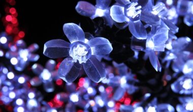 Last chance to experience the magic of Candy Cane Lane