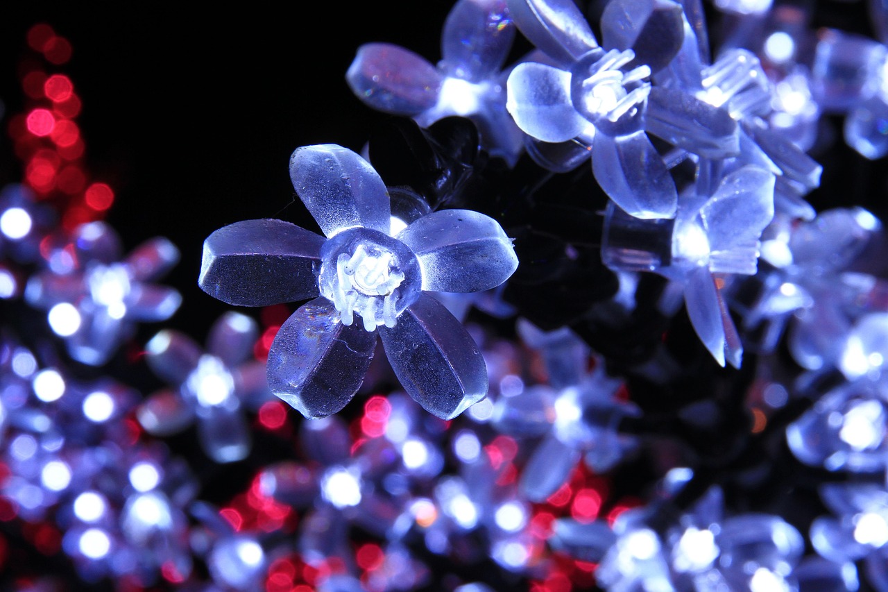 Last chance to experience the magic of Candy Cane Lane