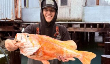 California fisherman Brendan Walsh canary rockfish record in San Francisco