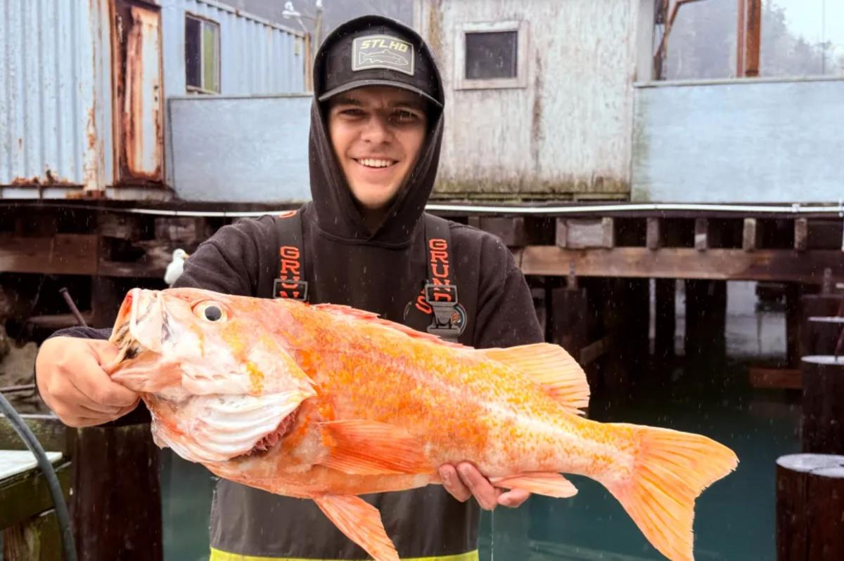California fisherman Brendan Walsh canary rockfish record in San Francisco