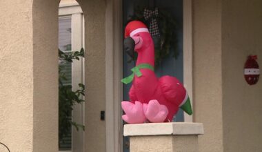 Frank the Flamingo takes over Plumas Lake, creating new connections