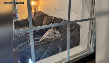 Video shows person throwing rocks, damaging Sacramento man's home, vehicle