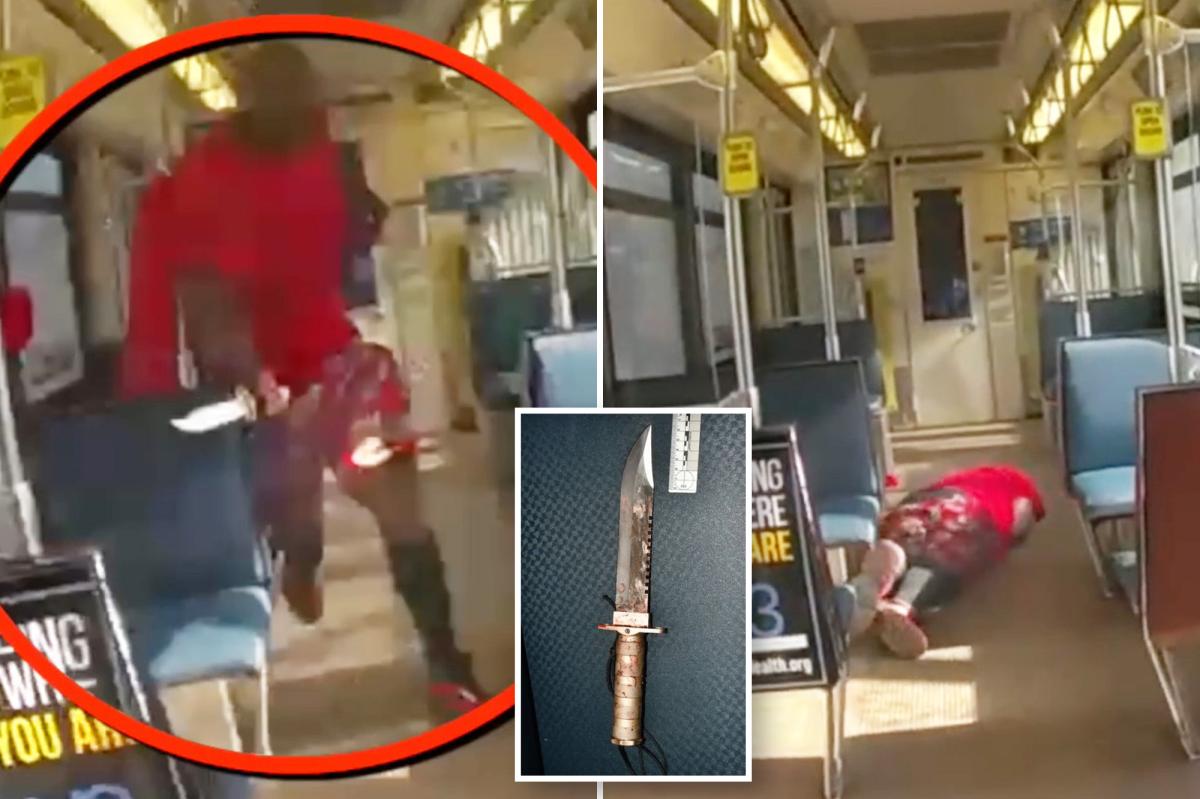 Sacramento pays $160k in settlement to family of knife-wielding man shot by cops