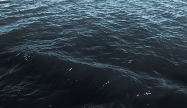 Body recovered from Lake Natoma amid search for missing man