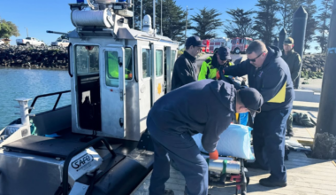 Surfer Injured in Shark Attack Along the Northern California Coast