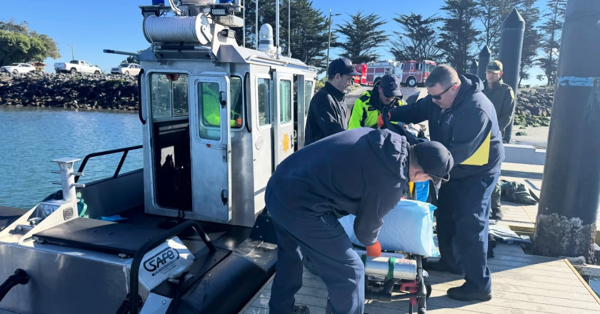 Surfer Injured in Shark Attack Along the Northern California Coast